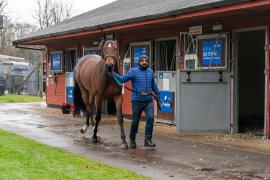 Lot  64 TAM070Tattersalls