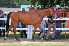 Magic Dancer (GB) 2012 B.G