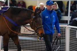 Lot  100 TAM1240Tattersalls