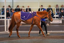 Lot  103 TAM1280Tattersalls