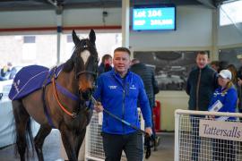 Lot  104 TAM1367Tattersalls