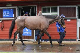 Lot  104 TAM166Tattersalls