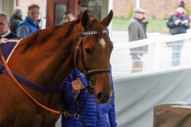 Lot  105 TAM1372Tattersalls