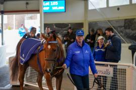 Lot  105 TAM1394Tattersalls