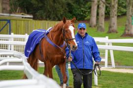 Lot  70 TAM1143Tattersalls